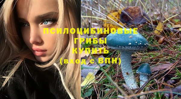 марки nbome Пролетарск