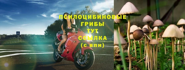 spice Покров