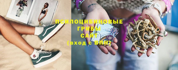 ГАЛЛЮЦИНОГЕННЫЕ ГРИБЫ Покачи