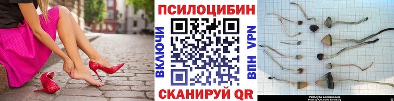 Псилоцибиновые грибы GOLDEN TEACHER Туран